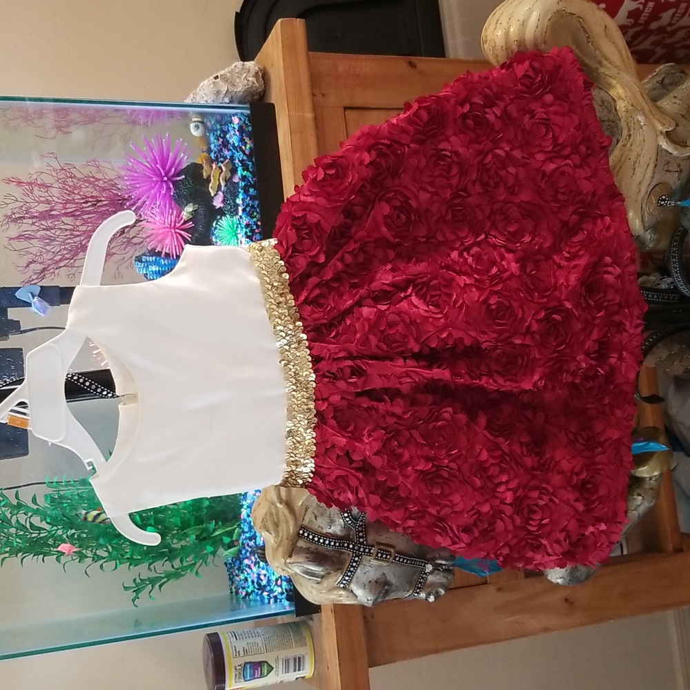 Girls Holiday Dress
